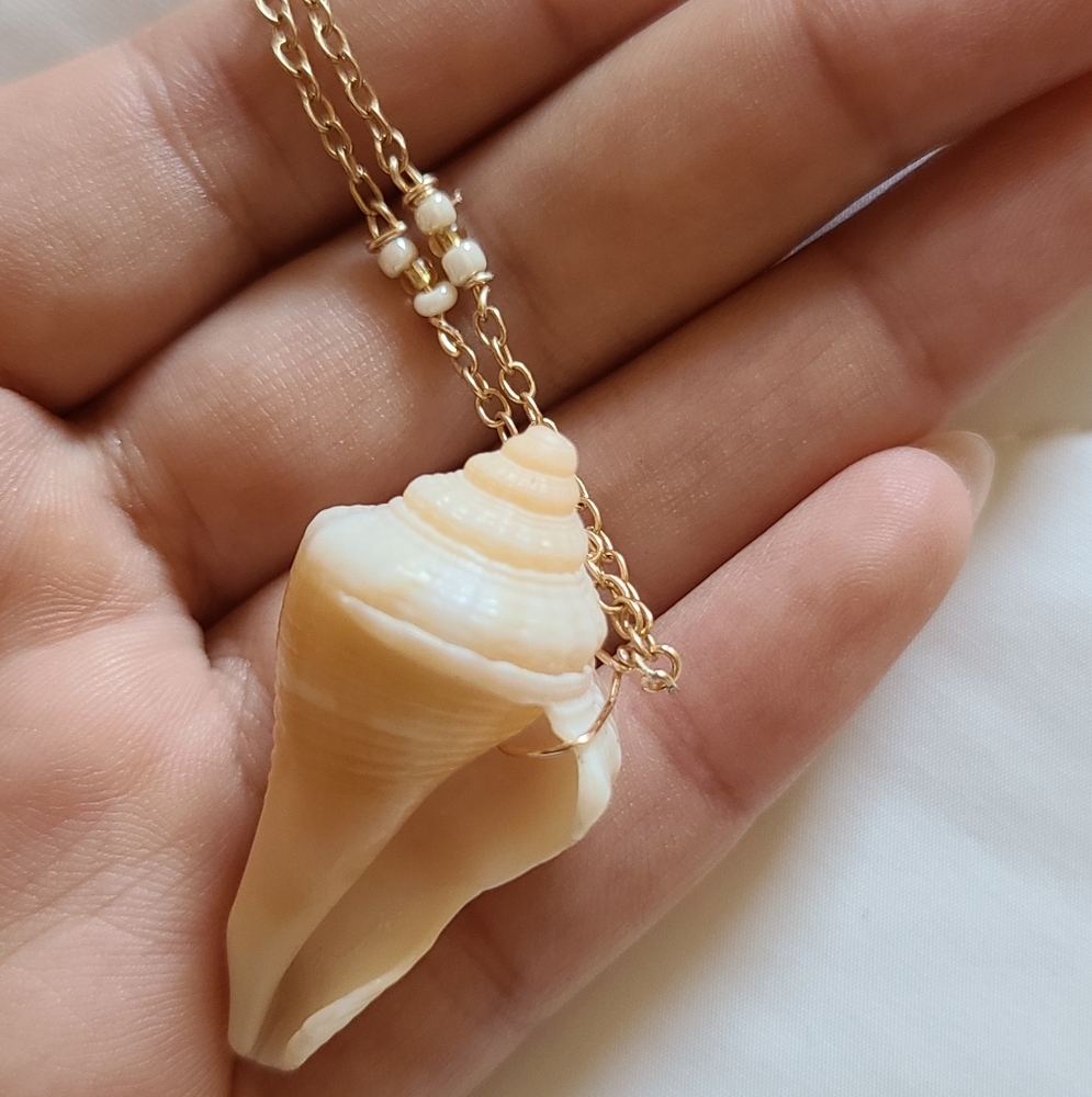 Shell Necklace - Picture 2 of 4